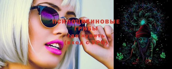 бошки Магас