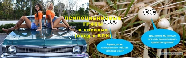 сатива Магадан