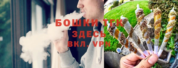 сатива Магадан
