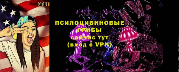 бошки Магас