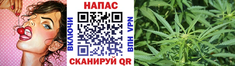 где купить   Лабытнанги  Каннабис конопля 